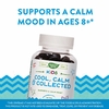 Nature's Way, Kids, Cool, Calm & Collected, успокаивающее средство для детей старше 8 лет, виноградный вкус, 40 жевательных конфет