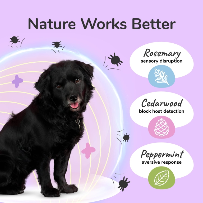 Kin+Kind, спрей от блох и клещей, для собак, лаванда, 354 мл (12 жидк. унций)