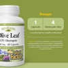 Natural Factors, HerbalFactors, листья оливкового дерева, 500 мг, 60 капсул