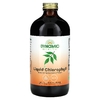Dynamic Health, жидкий хлорофилл, со вкусом натуральной мяты, 473 мл (16 жидк. унций)