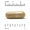 California Gold Nutrition, Ultamins, мультивитамины для мужчин старше 50 лет, с коэнзимом Q10, грибами, ферментами, овощами и ягодами, 60 растительных капсул