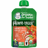 Gerber, Растительный вкус, органический продукт для малышей, летние фрукты и овощи с овсом, от 12 месяцев, 99 г (3,5 унции)