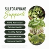 SMNutrition, активированный комплекс с сульфорафаном, с отсроченным высвобождением, 60 капсул