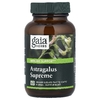 Gaia Herbs, Astragalus Supreme, 60 веганских фито-капсул с жидкостью