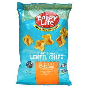 Enjoy Life Foods, Чипсы, легкие и соленые, 113 г (4 унции) (Товар снят с продажи) 