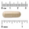 Swanson Vitamins, Full Spectrum®, корень кариеса, 400 мг, 60 капсул (Товар снят с продажи) 