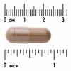 Swanson Vitamins, Травяная очанка, 100 капсул (Товар снят с продажи) 