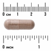 Swanson Vitamins, Full Spectrum®, сереноя, 540 мг, 100 веганских капсул