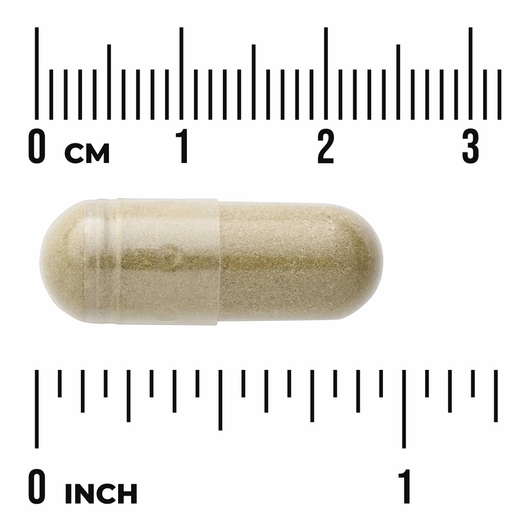 Swanson Vitamins, Full Spectrum®, андрографис метельчатый, 400 мг, 60 капсул