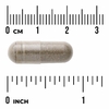 Swanson Vitamins, бакопа (Bacopa monnieri), 250 мг, 90 капсул