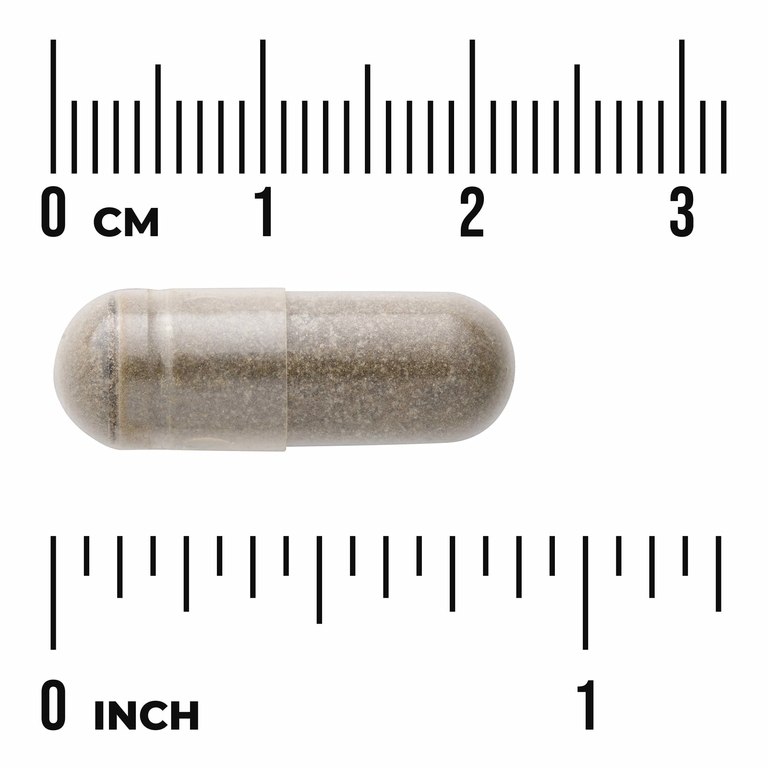 Swanson Vitamins, бакопа (Bacopa monnieri), 250 мг, 90 капсул