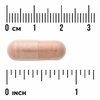 Swanson Vitamins, Пикногенол, суперсила, 150 мг, 30 растительных капсул