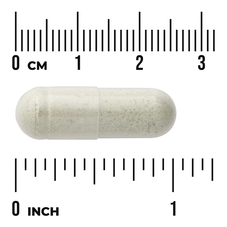 Swanson Vitamins, альгинат натрия из бурых водорослей с листьями кинзы, 60 растительных капсул