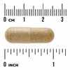 Swanson Vitamins, Ромашка, 350 мг, 120 капсул