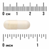 Swanson Vitamins, пробиотические лактобактерии плантарум, 10 млрд КОЕ, 30 веганских капсул EMBO Caps AP