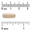 Swanson Vitamins, N Zimes® Dairy, 90 растительных капсул (Товар снят с продажи) 
