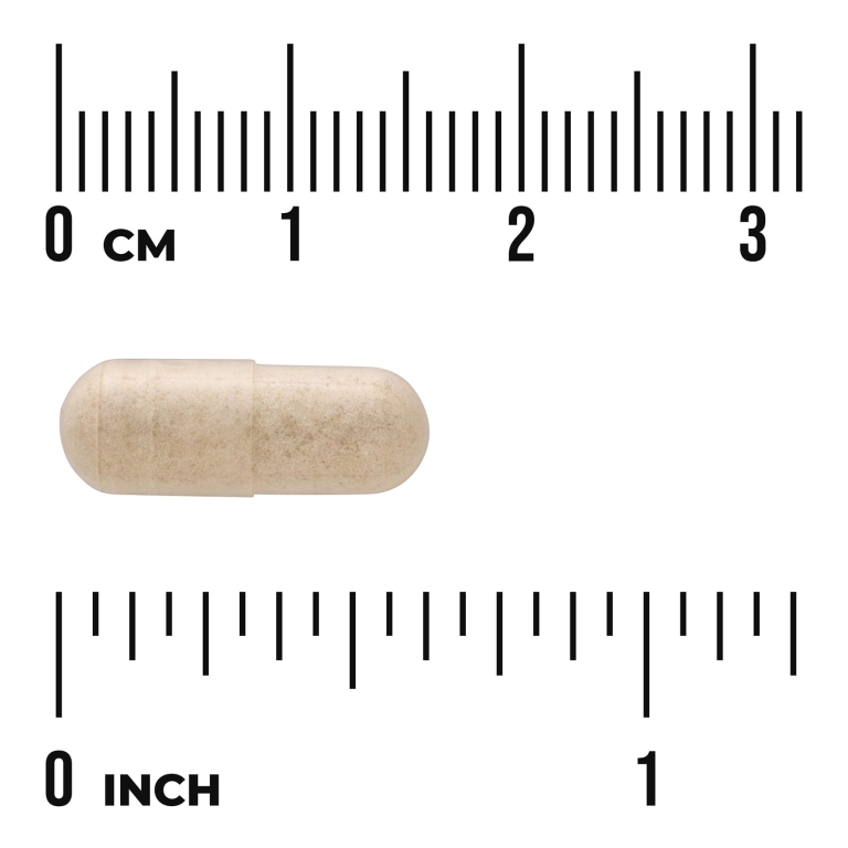 Swanson Vitamins, N Zimes® Dairy, 90 растительных капсул (Товар снят с продажи) 
