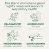 Traditional Medicinals, Organic Cold Care PM, таволга и корица, без кофеина, 16 чайных пакетиков в упаковке, 32 г (1,13 унции)