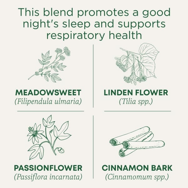 Traditional Medicinals, Organic Cold Care PM, таволга и корица, без кофеина, 16 чайных пакетиков в упаковке, 32 г (1,13 унции)