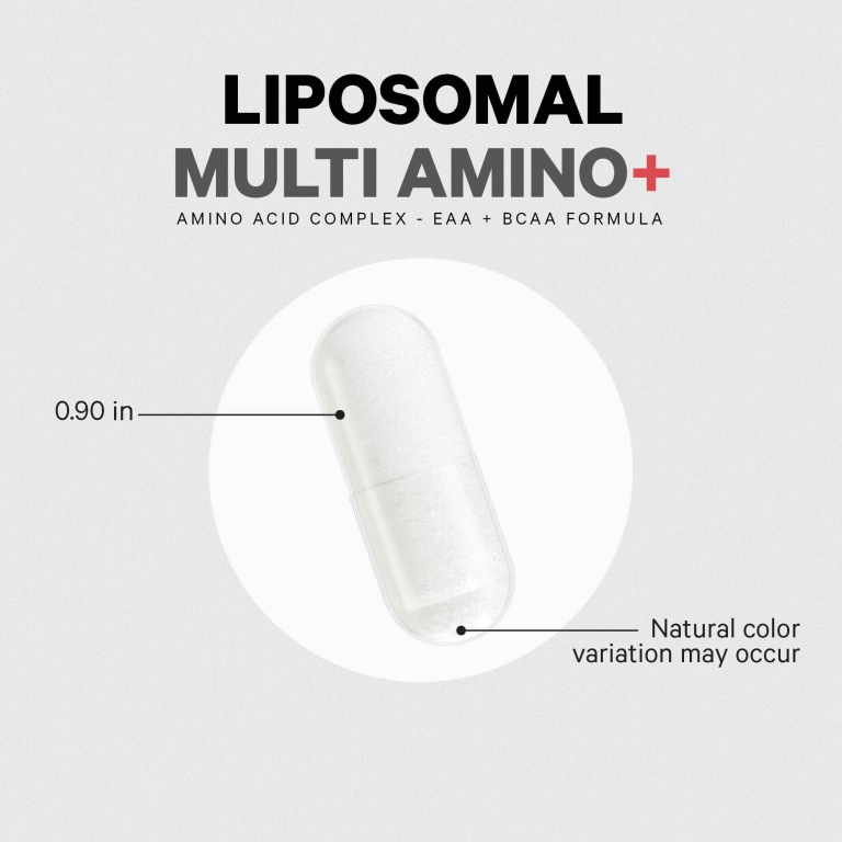 Codeage, Liposomal Multi Amino+, комплекс липосомальных аминокислот, серия Sport, 240 растительных капсул