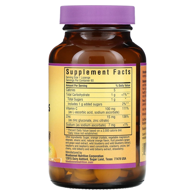 Bluebonnet Nutrition, EarthSweet, жевательные таблетки с цинком, апельсин, 15 мг, 60 пастилок