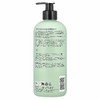 ATTITUDE, Furry Friends, Natural Pet Care, успокаивающий шампунь из овса, без запаха, 473 мл (16 жидк. унц.)