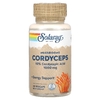 Solaray, Грибы, кордицепс, 60 капсул