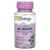 Solaray, Vital Extracts, черника, 60 мг, 120 растительных капсул