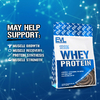 EVLution Nutrition, 100% сывороточный протеин, шоколад двойной насыщенности, 454 г (1 фунт)