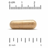 Super Nutrition, расторопша плюс, 175 мг, 120 растительных капсул