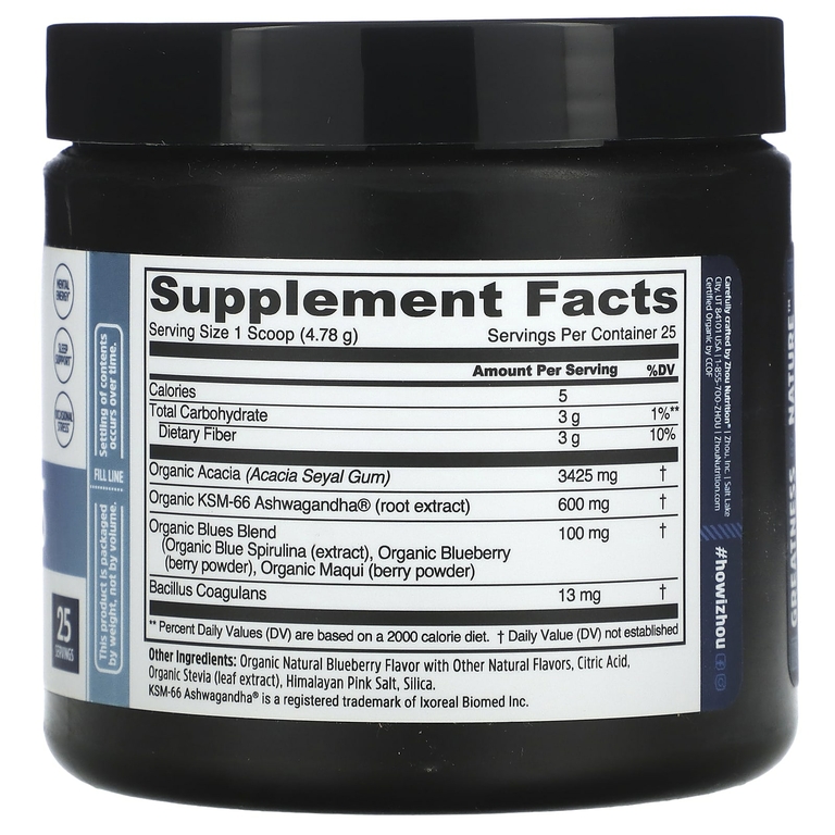 Zhou Nutrition, Organic Daily Blues, со вкусом голубики, 119,5 г (4,22 унции)