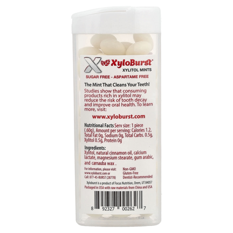 Xyloburst, подслащенные ксилитолом мятные конфеты, со вкусом корицы, 60 шт., 36 г (1,27 унции)