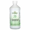 Dynamic Health, хлорофилл, без добавок, 473 мл (16 жидк. унций)
