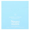 NeuroGum, NeuroMints, энергия и концентрация, перечная мята, 12 пакетиков по 12 шт. (всего 144 шт.)