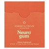 NeuroGum, Energy & Focus, корица, 12 пакетиков по 9 шт.