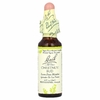 Bach, Original Flower Remedies, бутоны каштана, 10 мл (0,35 жидк. унции)