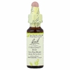 Bach, Original Flower Remedies, бутоны каштана, 10 мл (0,35 жидк. унции)
