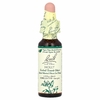 Bach, Original Flower Remedies, падуб, 10 мл (0,35 жидк. унции)