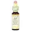 Bach, Original Flower Remedies, граб, 10 мл (0,35 жидк. унции)