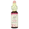 Bach, Original Flower Remedies, лиственница, 10 мл (0,35 жидк. унции)