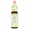 Bach, Original Flower Remedies, горчица, 10 мл (0,35 жидк. унции)
