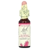 Bach, Original Flower Remedies, сосна, 10 мл (0,35 жидк. унции)