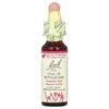 Bach, Original Flower Remedies, Star of Bethlehem, 10 мл (0,35 жидк. унции)