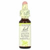 Bach, Original Flower Remedies, шиповник, 10 мл (0,35 жидк. унции)