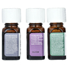 Aura Cacia, Fresh Home, смеси чистых эфирных масел, 3 флакона по 7,4 мл (0,25 жидк. унции)