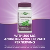 Nature's Way, андрографис, 60 веганских капсул (Товар снят с продажи) 