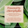 Nature's Way, жидкий хлорофилл Chlorofresh®, вкус мята, 480 мл (16 жидких унций)