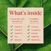 Nature's Way, растительный комплекс для поддержки иммунитета, 180 таблеток