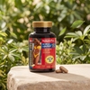 NaturesPlus, липотропные вещества и ферменты, 60 двухслойных таблеток