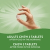 Nature's Way, DGL, глицирризинат солодки, 100 жевательных таблеток